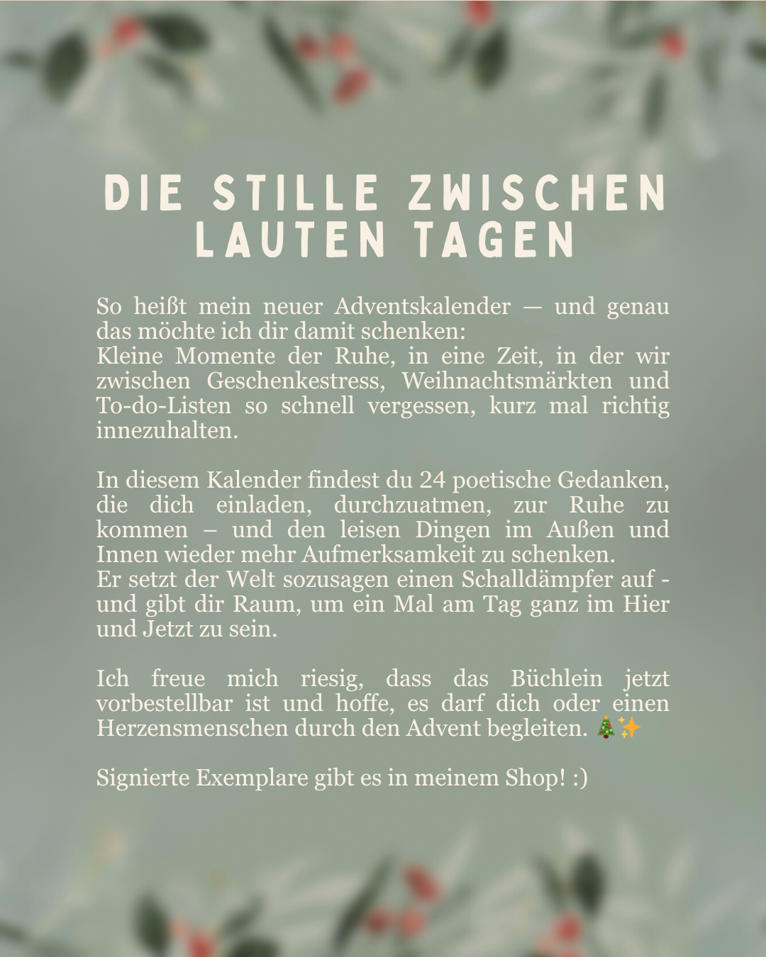 Adventskalender - "Die Stille zwischen lauten Tagen"