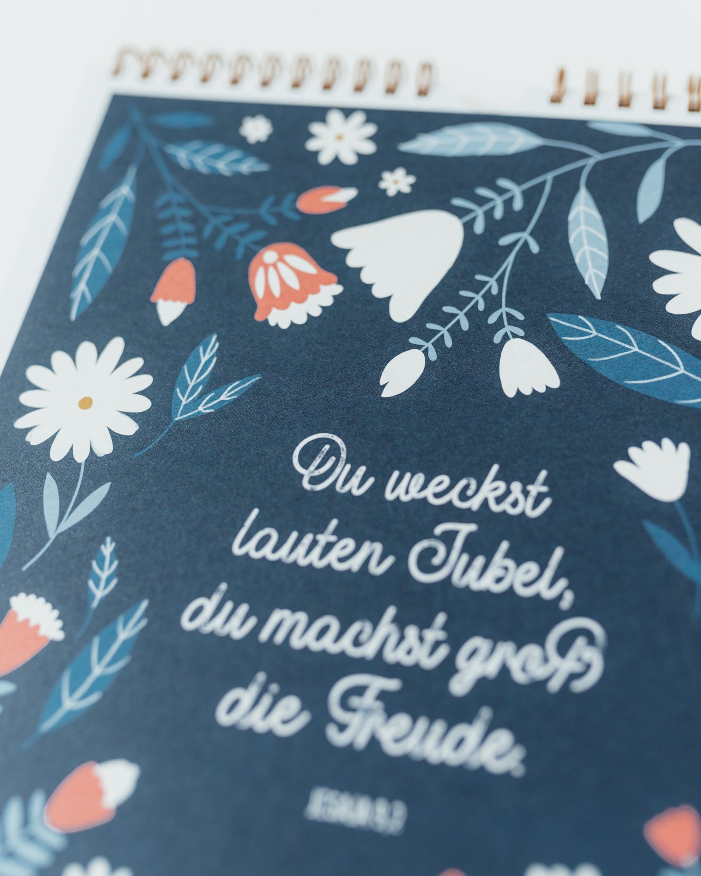 Leuchttage - Dein Begleiter durch den Advent